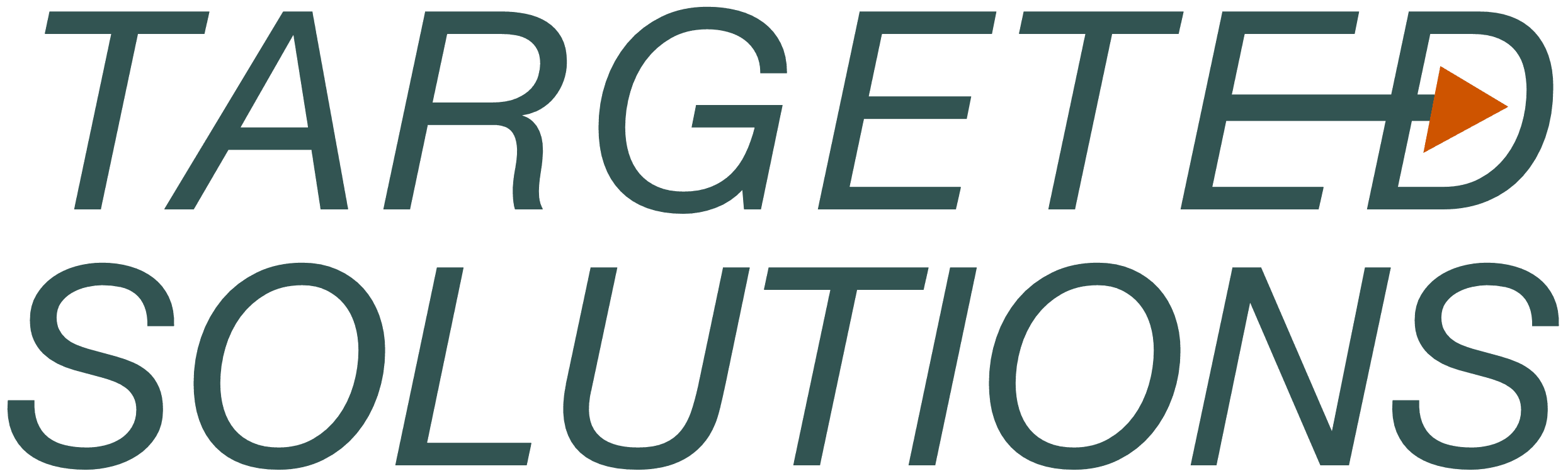 Targeted Solutions logo